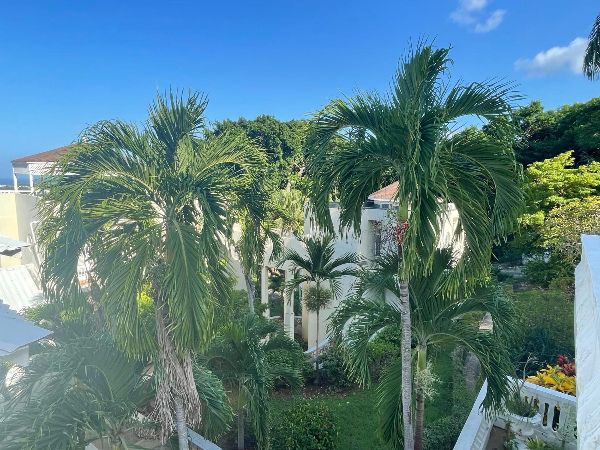 Oceanbreeze Jamaica Penthouse, 7-Minute Walk To Beach Очо-Риос Экстерьер фото